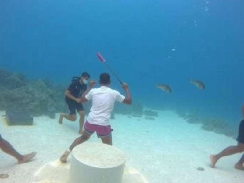 Marine Life Quest India Community Discussions Marine Life Quest India Community Discussions